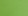 Farbe Kiwi